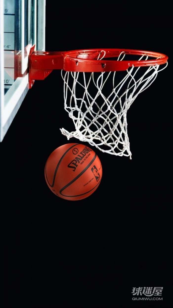 NBA球探