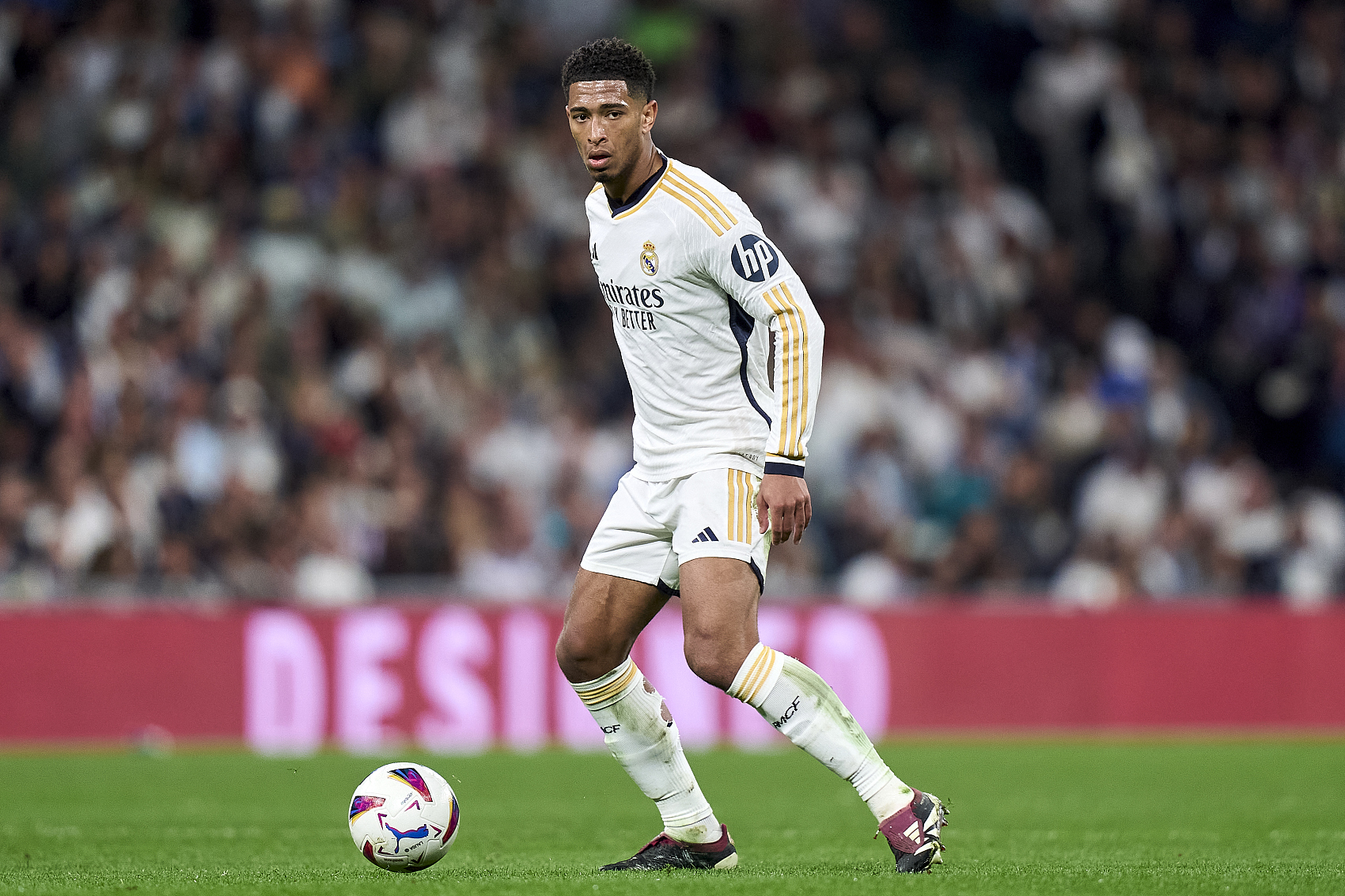 引起了广泛 引起了广泛